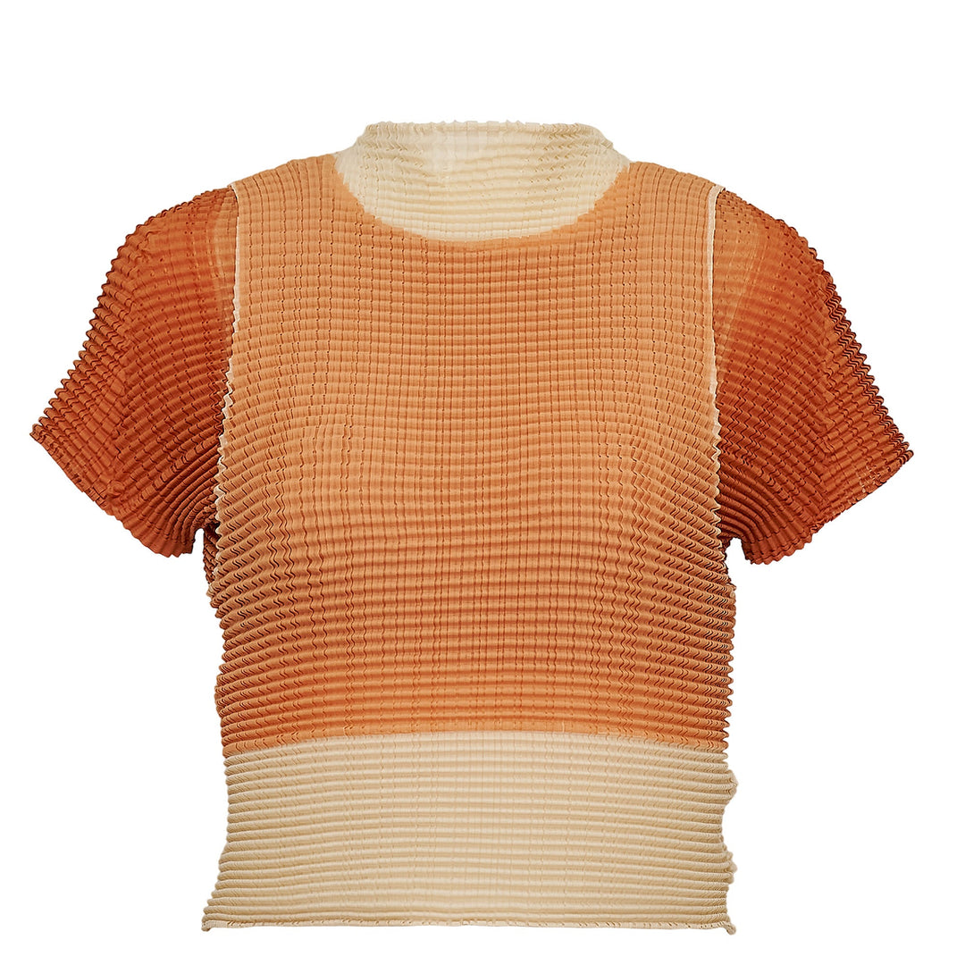 Layered Color Pleats Pleated Top