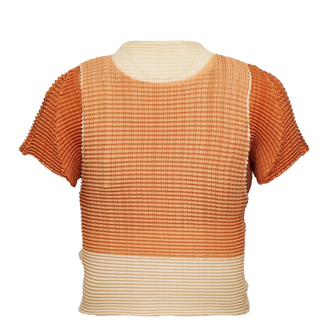 Layered Color Pleats Pleated Top