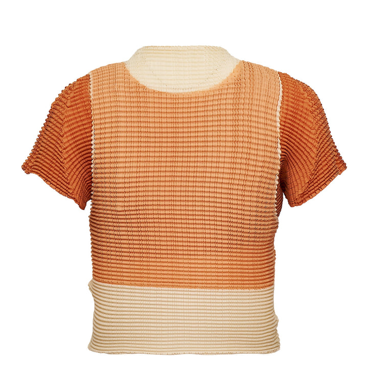 Layered Color Pleats Pleated Top