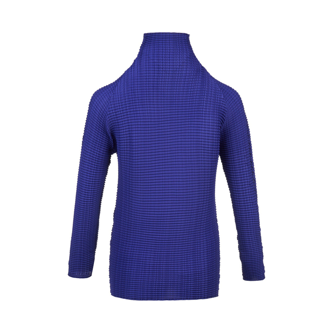 Wooly Pleats Pleated Top