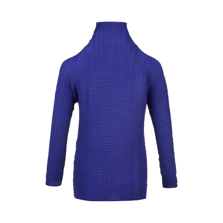 Wooly Pleats Pleated Top