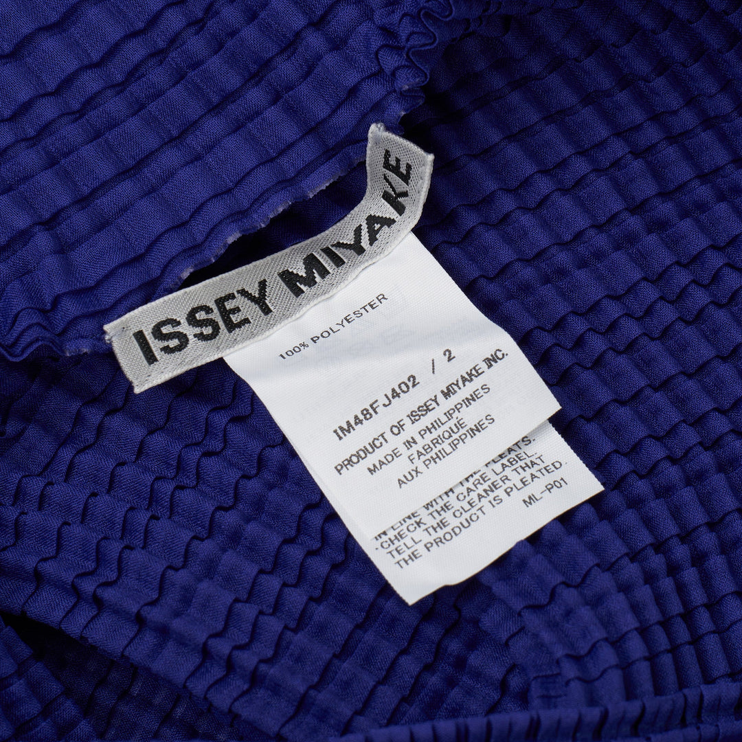 Wooly Pleats Pleated Top