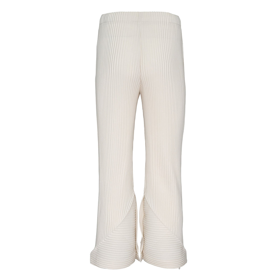 Pleats Bottoms 2 Pants