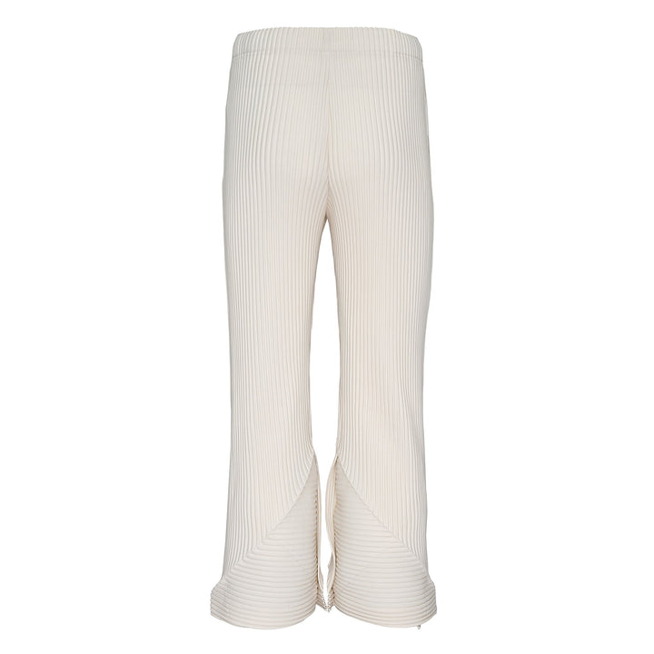 Pleats Bottoms 2 Pants
