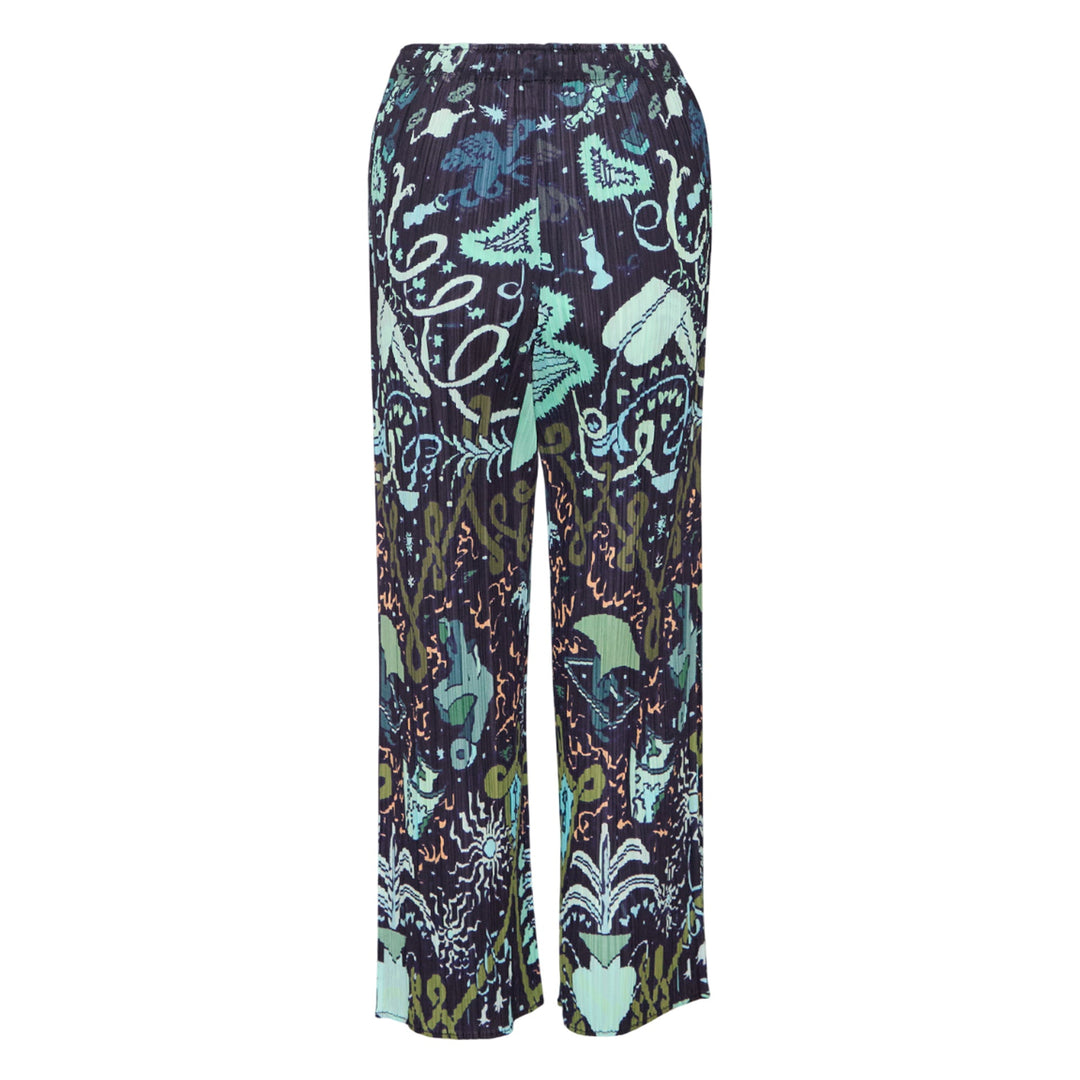 Interplanetary Pants