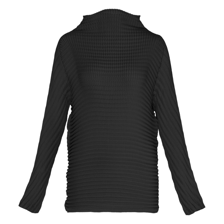 Wool Like Pleats Pleated Top