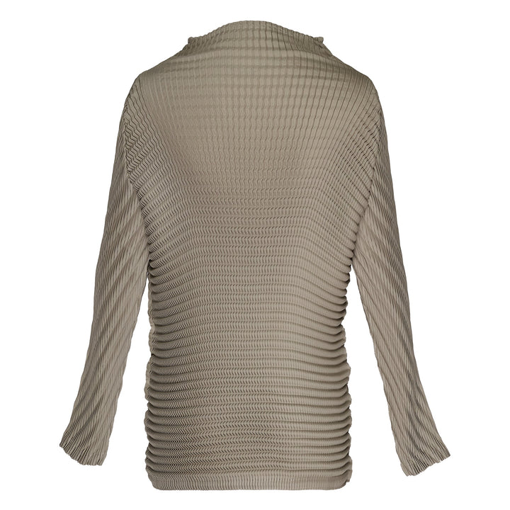 Wool Like Pleats Pleated Top