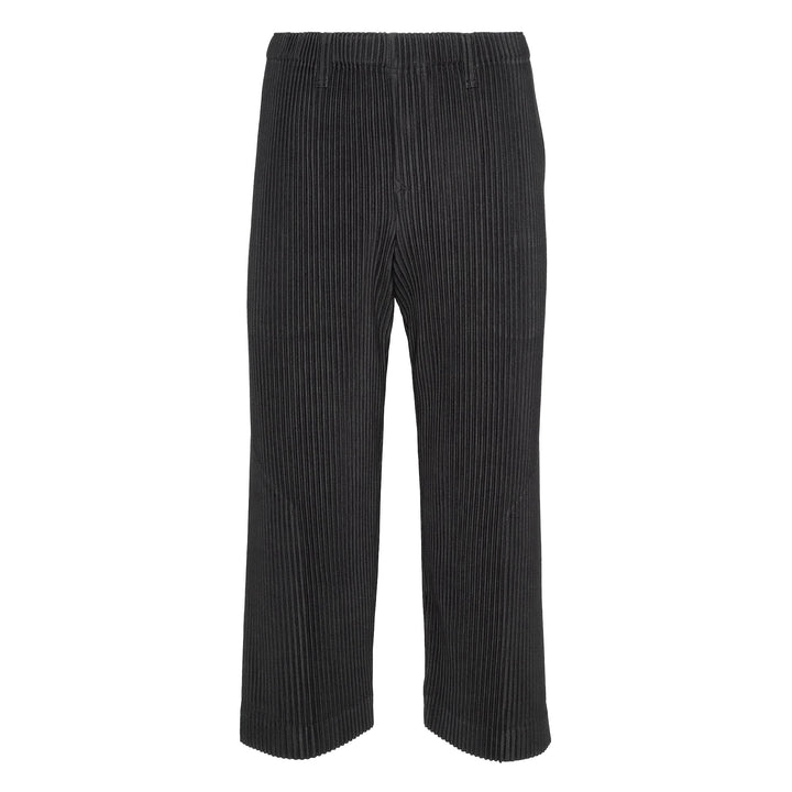 Tailored Pleats 2 Pants