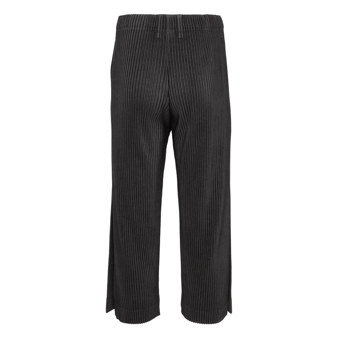 Tailored Pleats 2 Pants