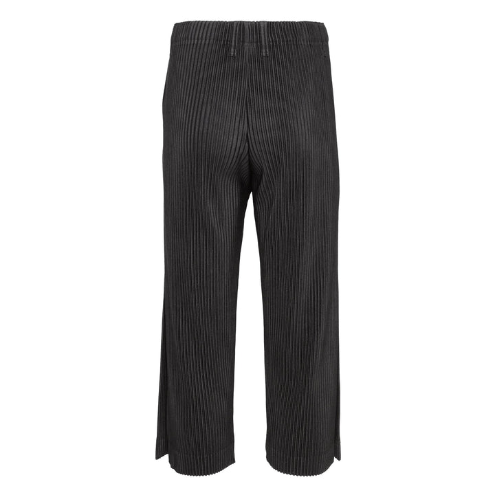 Tailored Pleats 2 Pants