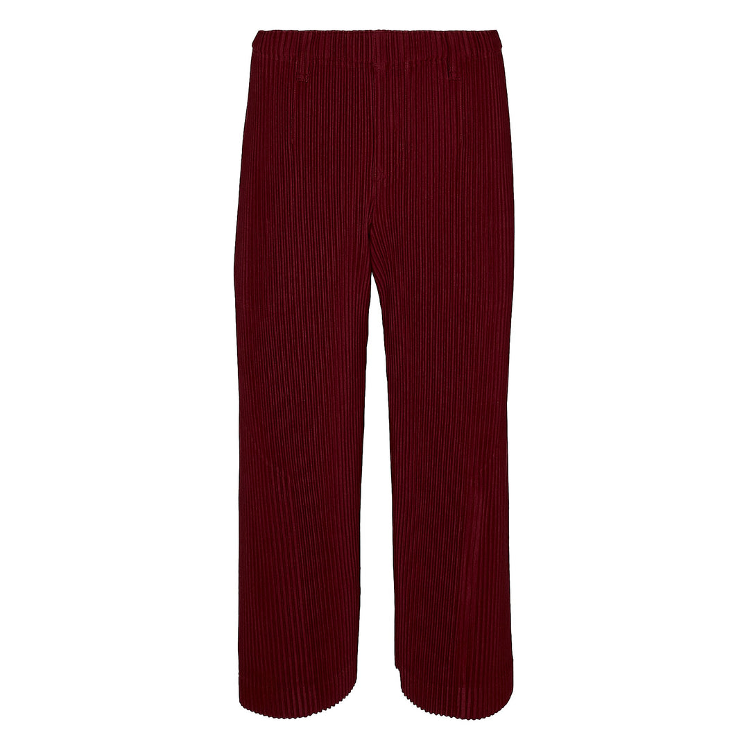 Tailored Pleats 2 Pants
