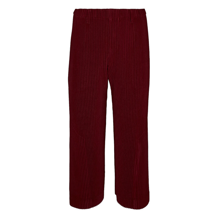 Tailored Pleats 2 Pants