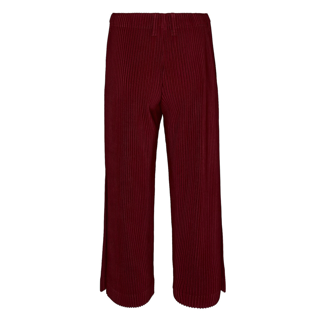 Tailored Pleats 2 Pants