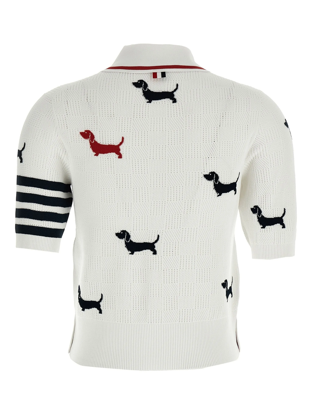 Hector Intarsia Pointelle Jacquard Polo Women