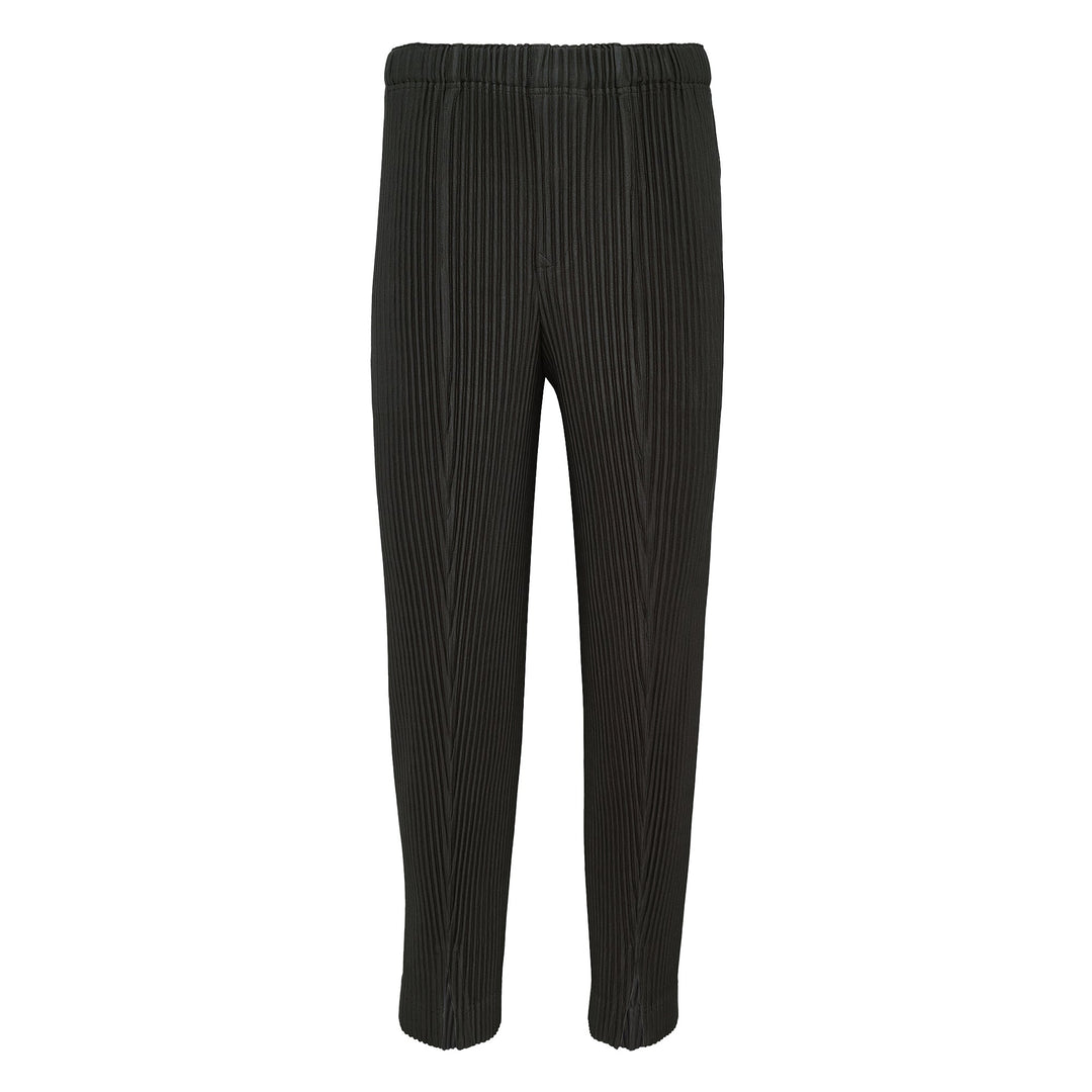 Pleats Bottoms 2 Pants