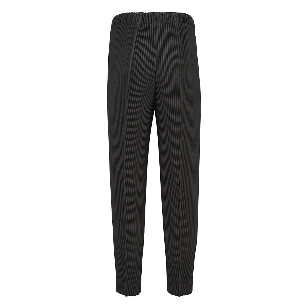 Pleats Bottoms 2 Pants