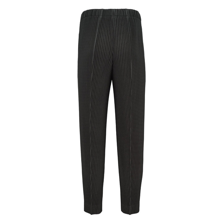 Pleats Bottoms 2 Pants