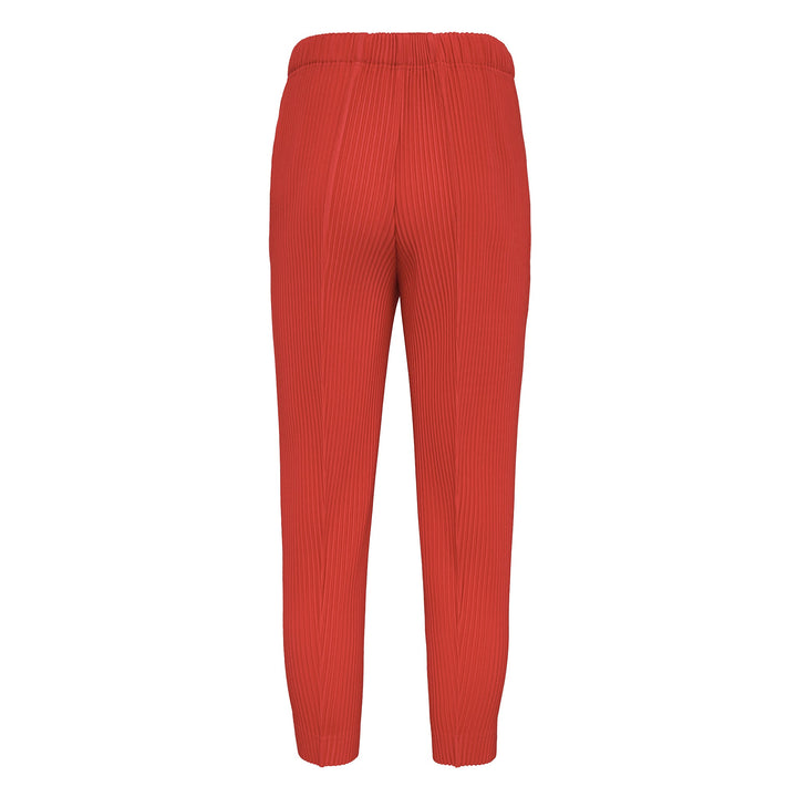Pleats Bottoms 2 Pants
