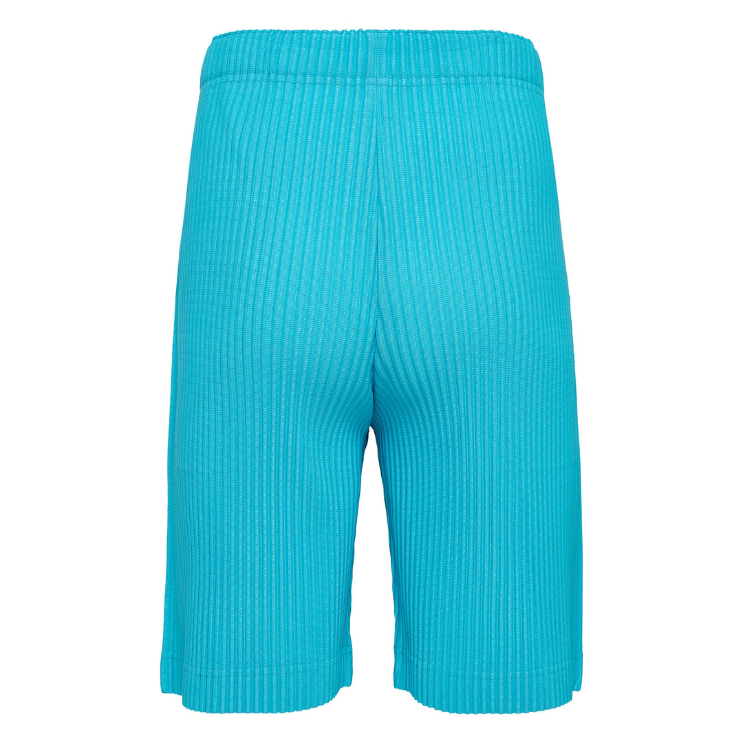 Color Pleats Pants