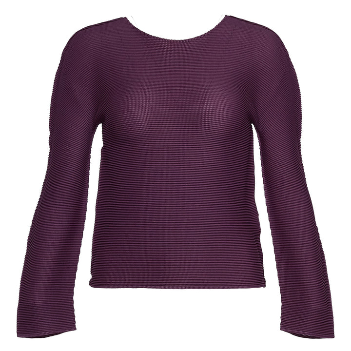 Stretch Pleats 1 Round Neck Top