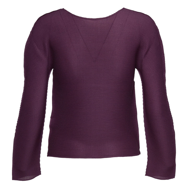 Stretch Pleats 1 Round Neck Top