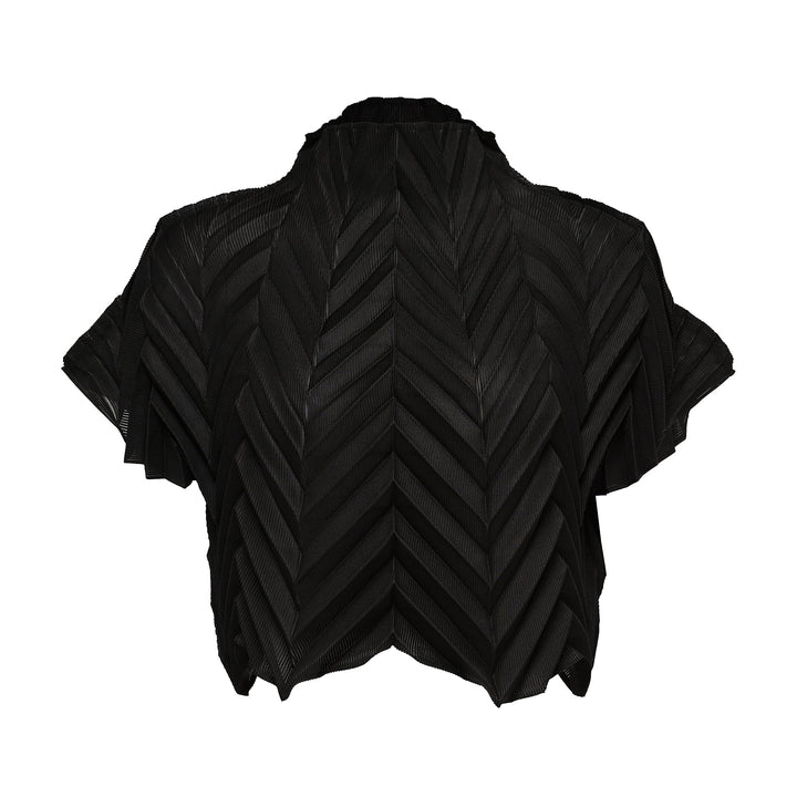 Star Pleats Crop Top