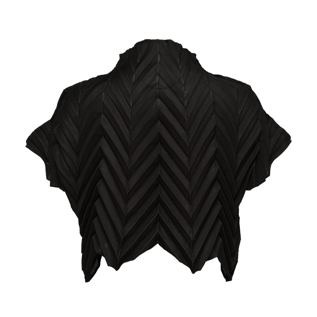 Star Pleats Crop Top