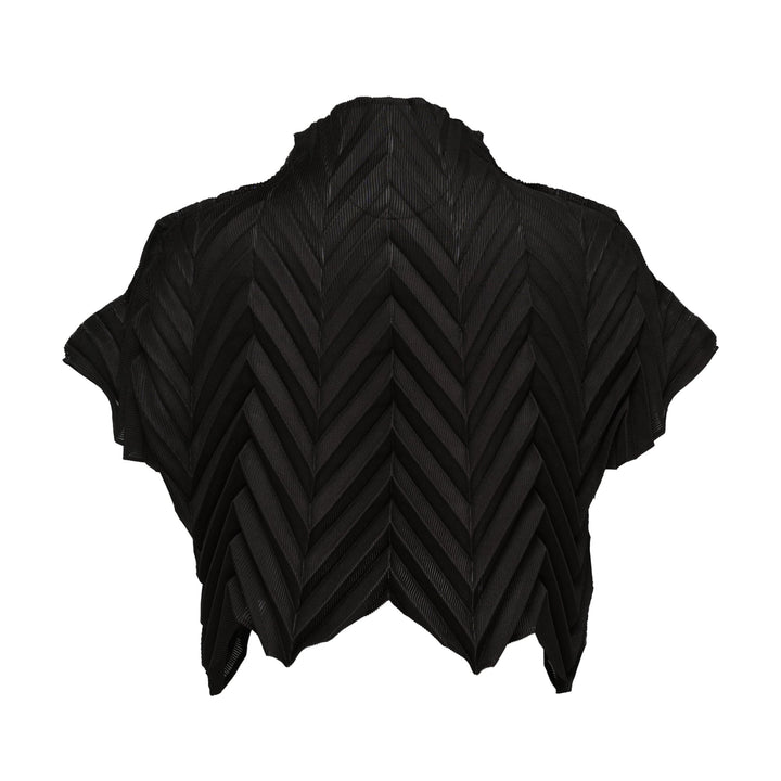 Star Pleats Crop Top