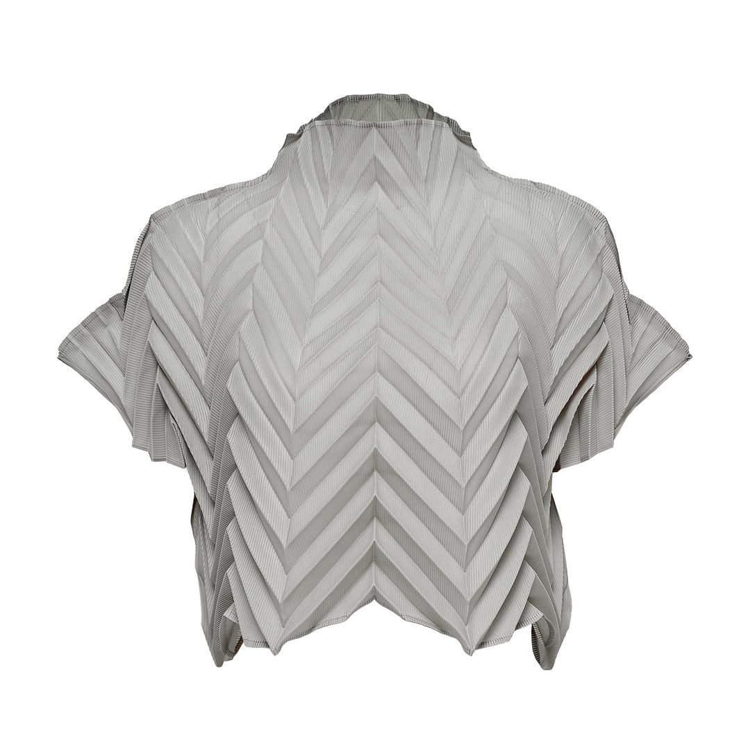 Star Pleats Crop Top