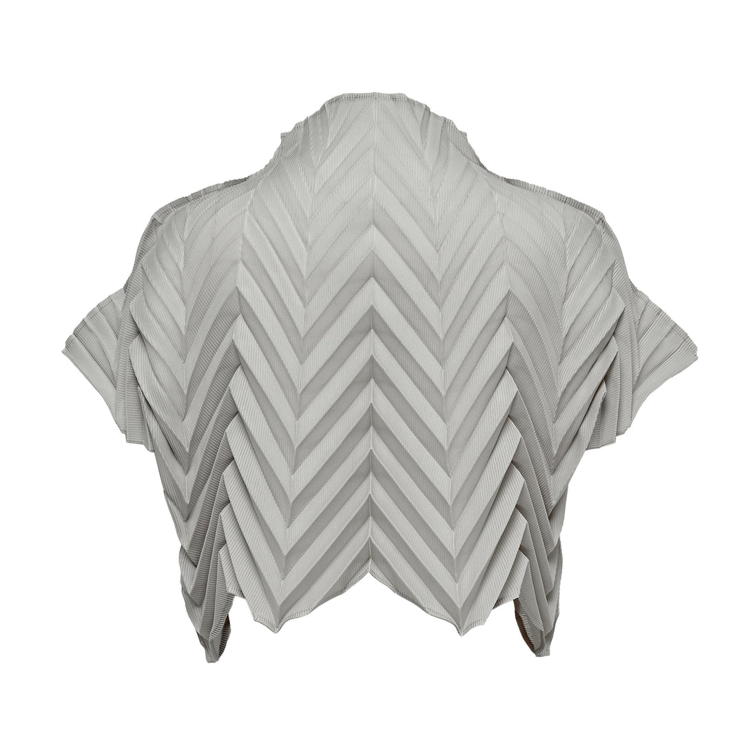 Star Pleats Crop Top