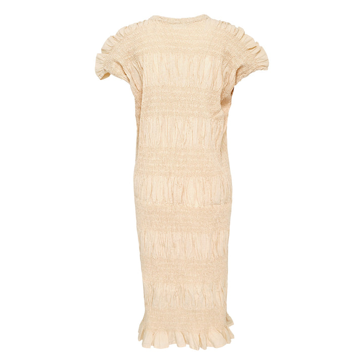 Shrink Stripe Dress