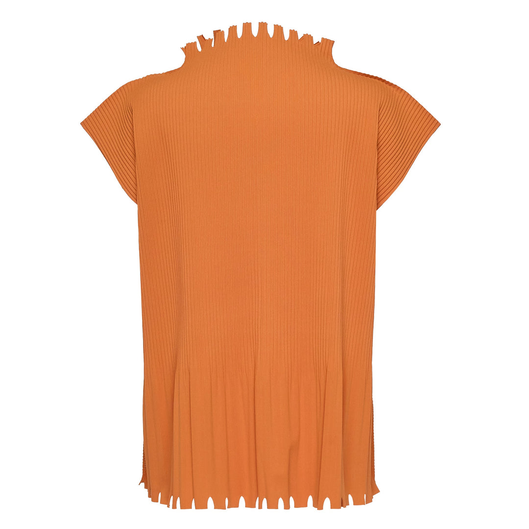 Mellow Fringe Pleats Top