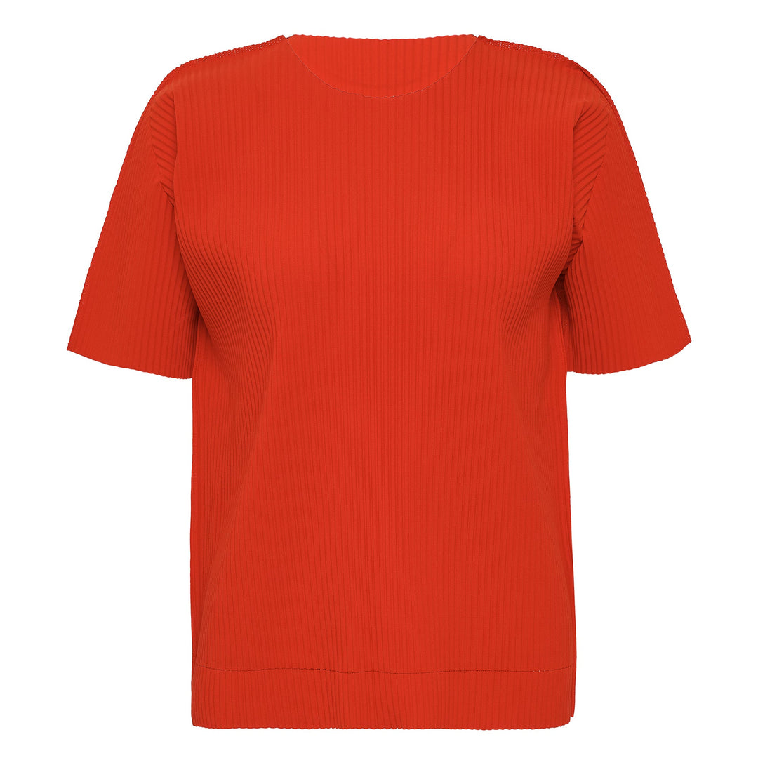 Fine Knit Pleats Color 2 Top