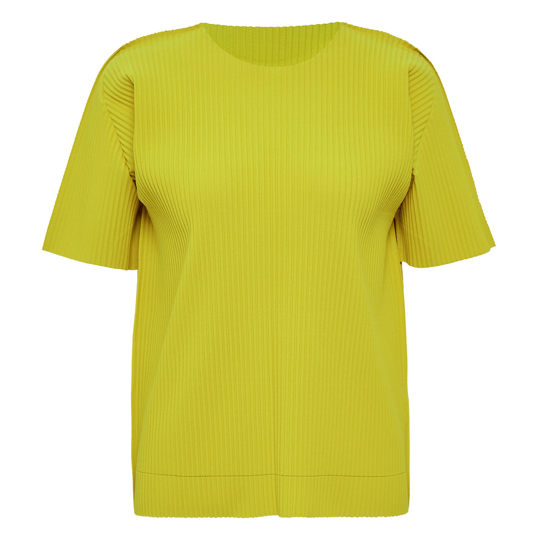 Fine Knit Pleats Color 2 Top