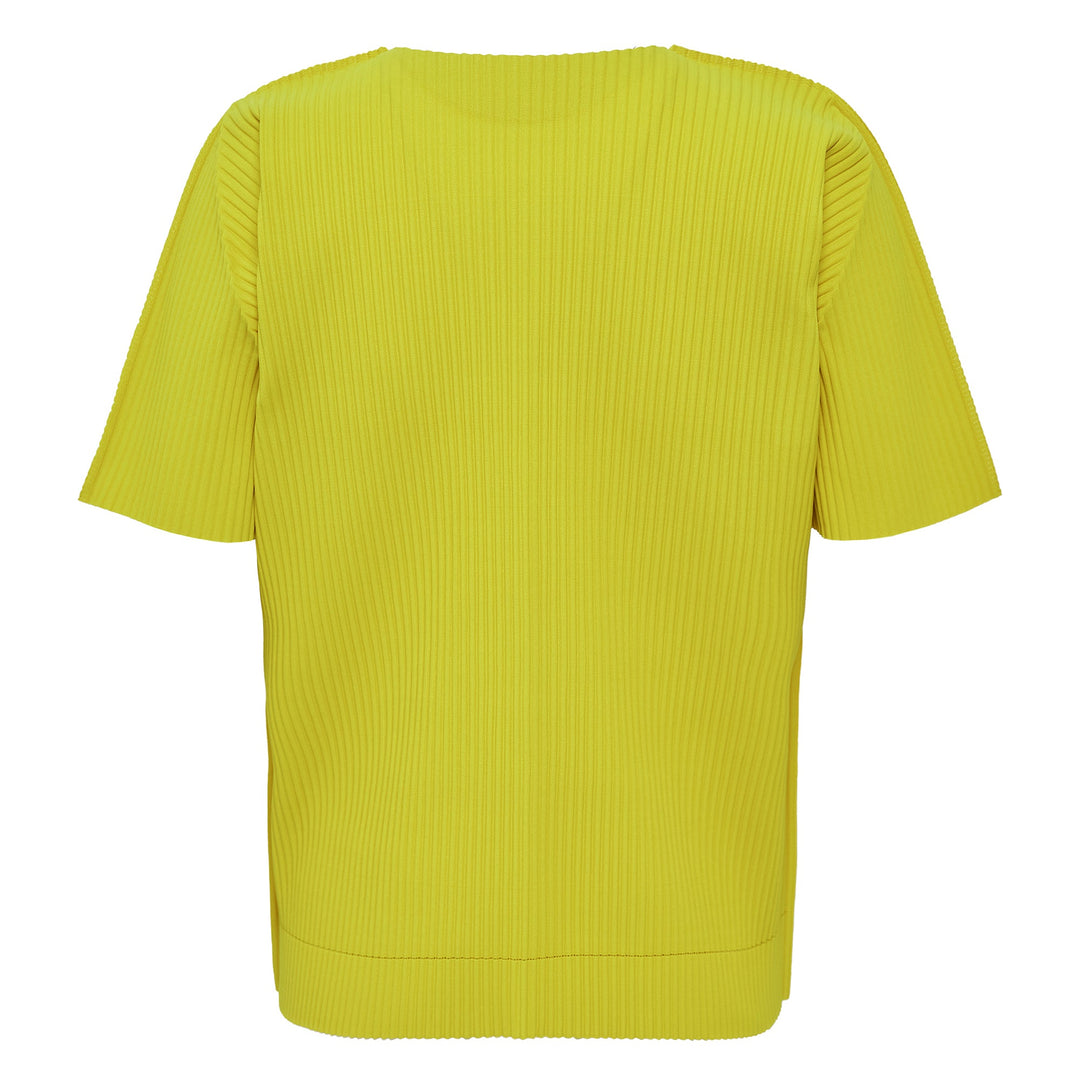Fine Knit Pleats Color 2 Top