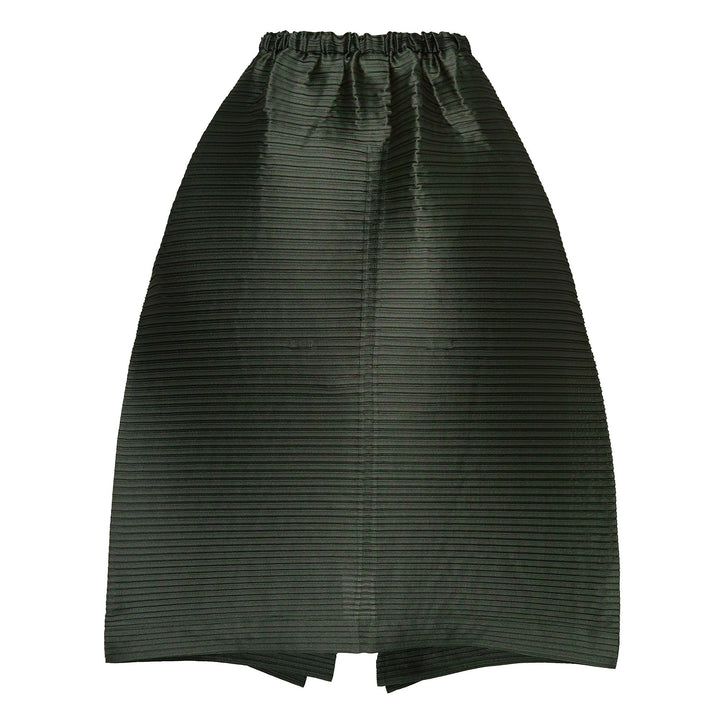 Paneled Pleats Pleated Skirt
