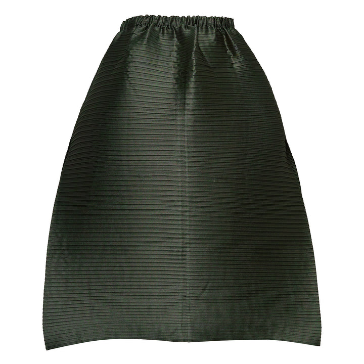 Paneled Pleats Pleated Skirt