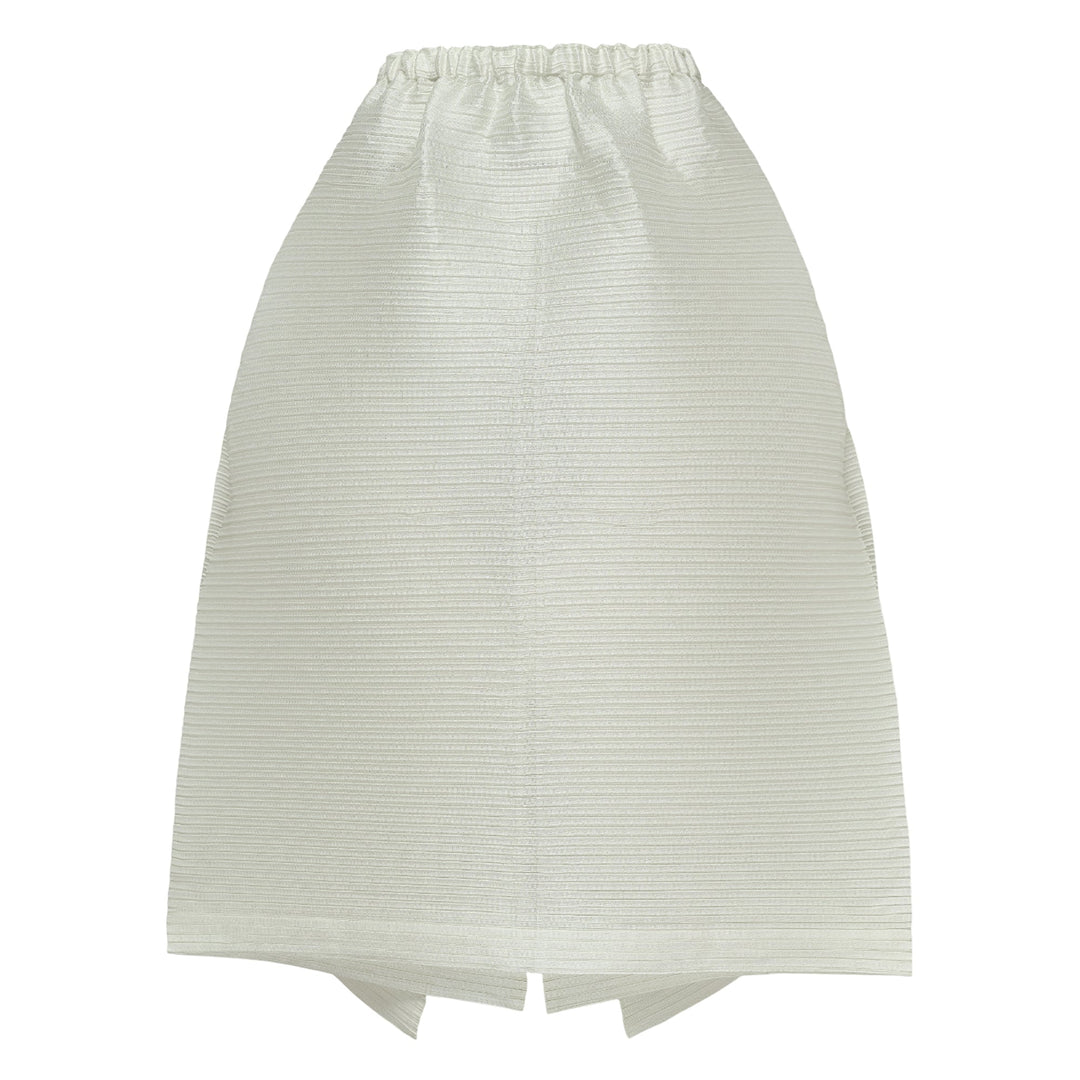 Paneled Pleats Pleated Skirt
