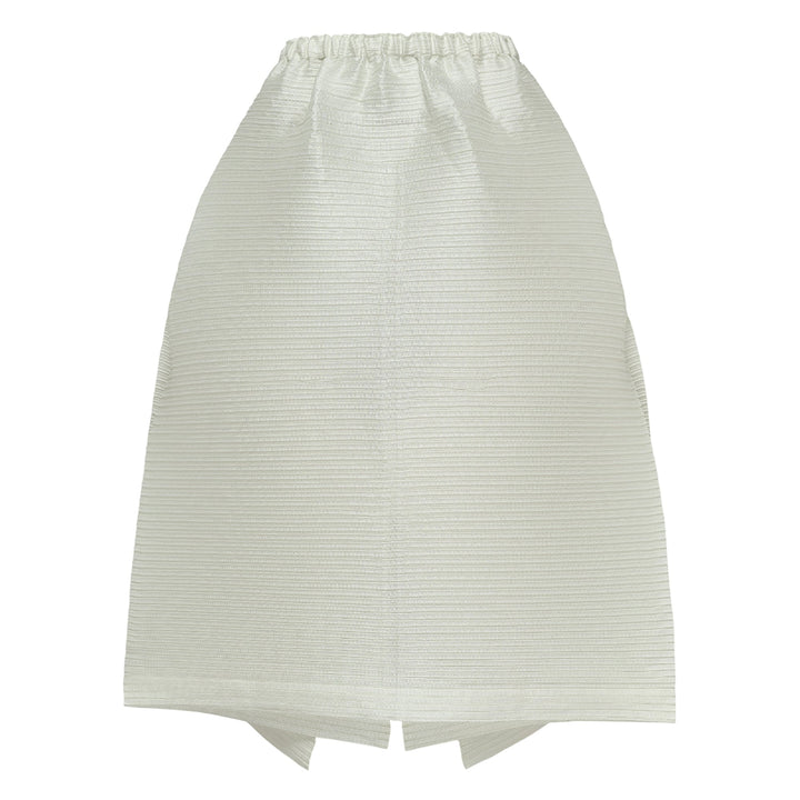 Paneled Pleats Pleated Skirt