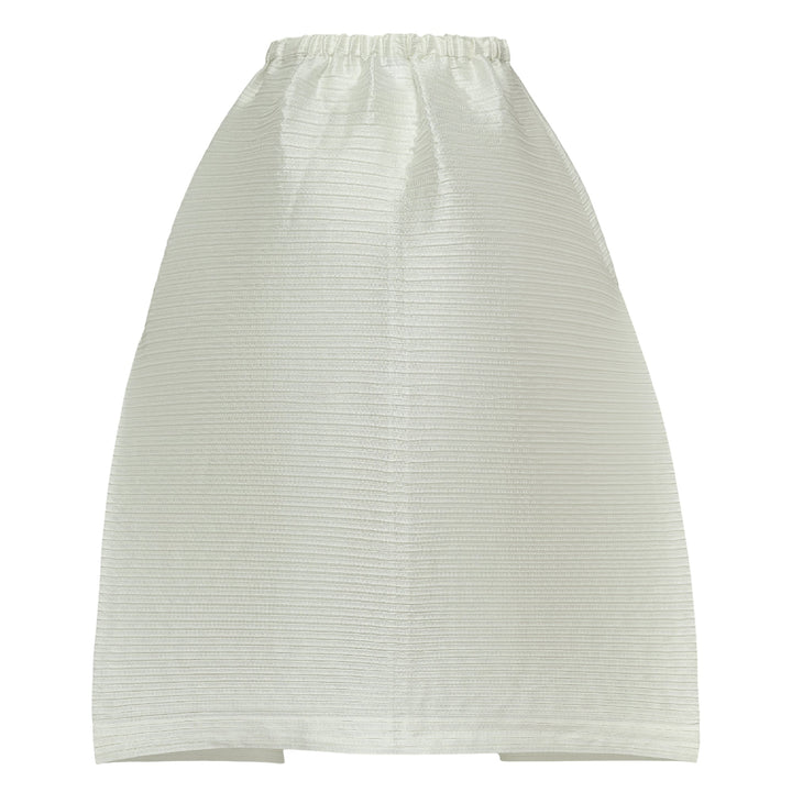 Paneled Pleats Pleated Skirt