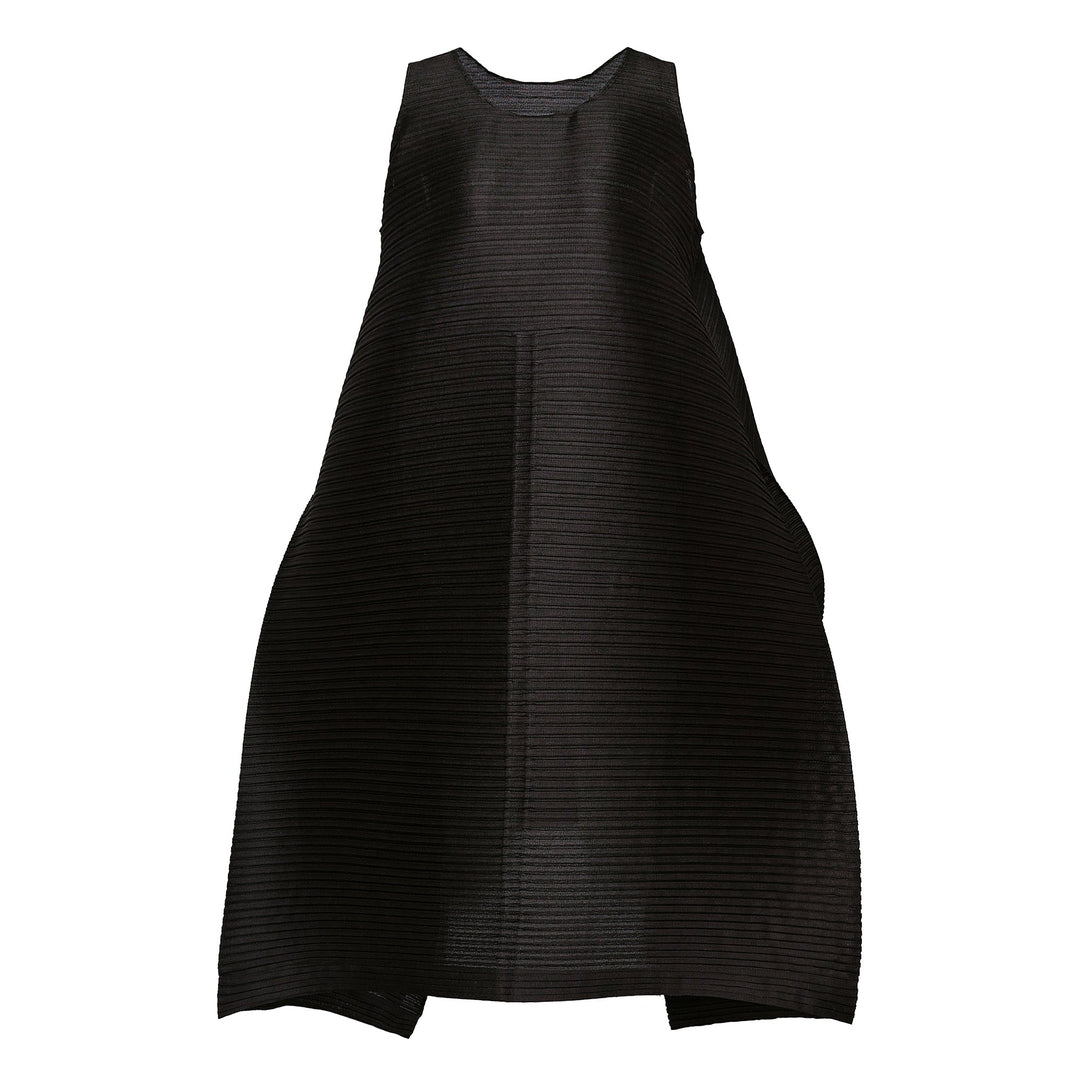 Paneled Pleats Pleated Dress