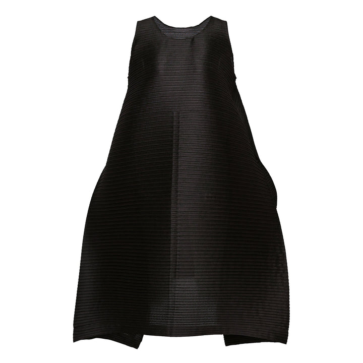 Paneled Pleats Pleated Dress