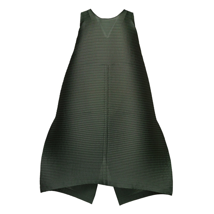 Paneled Pleats Pleated Dress
