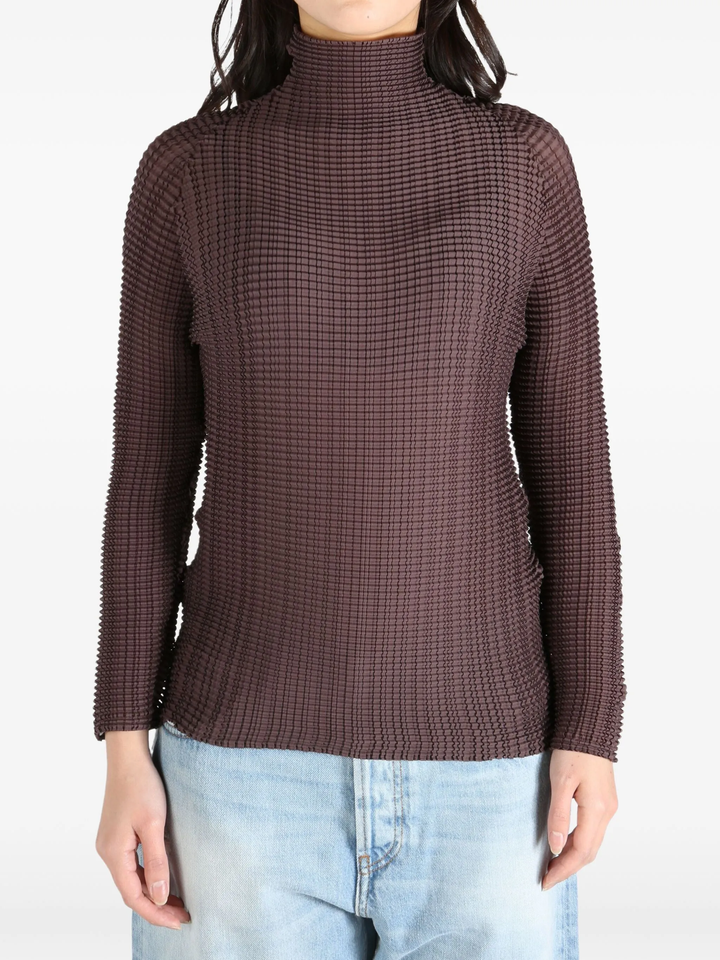 Wooly Pleats Pleated Top