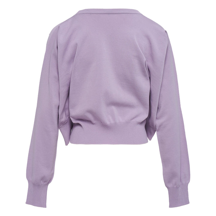 Four-Sleeved Sweater