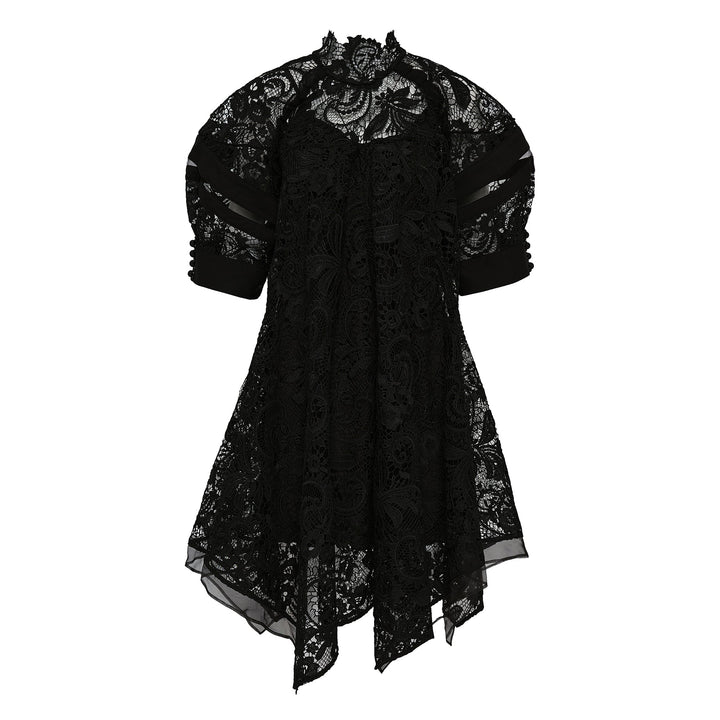 Corded Embroidered Lace Dress