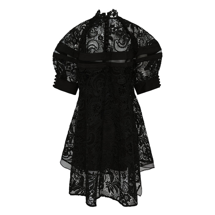 Corded Embroidered Lace Dress