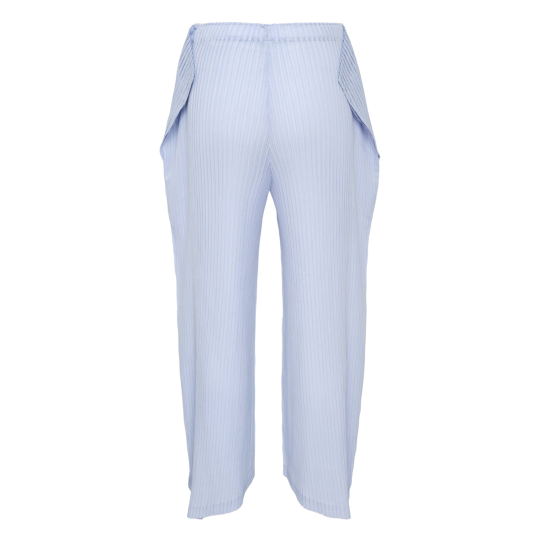 Shadow Study Pleats Solid Pants