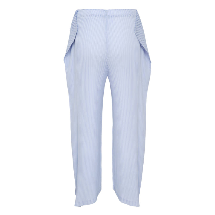 Shadow Study Pleats Solid Pants