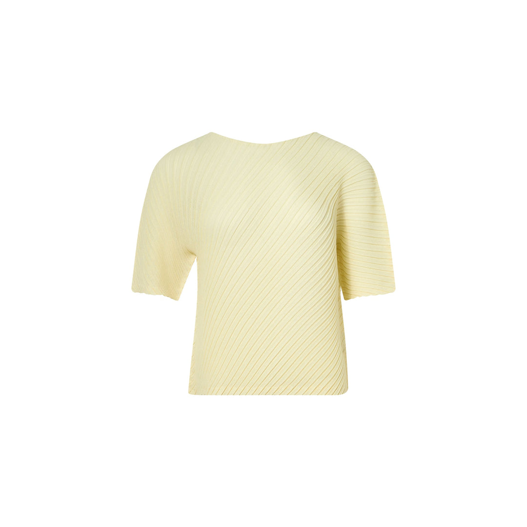 Sheer Linen Like Pleats Top